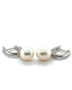 9ct White Gold 7.5-8mm Pearl Drop Earrings 