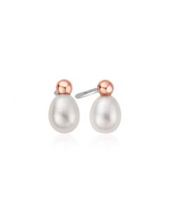 Clogau Welsh Beachcomber Stud Earrings