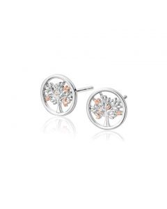 Clogau Tree of Life Stud Earrings