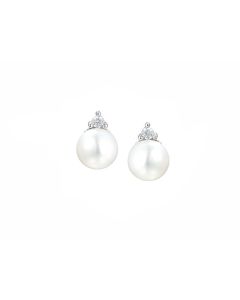 Full Moon Freshwater pearl Earrings