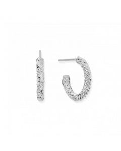 ChloBo Entwined Passion Hoop Earrings SEH3208
