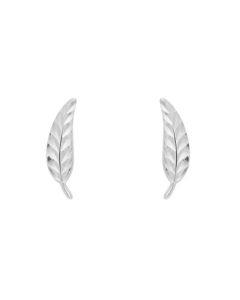 9ct White Gold Feather Studs