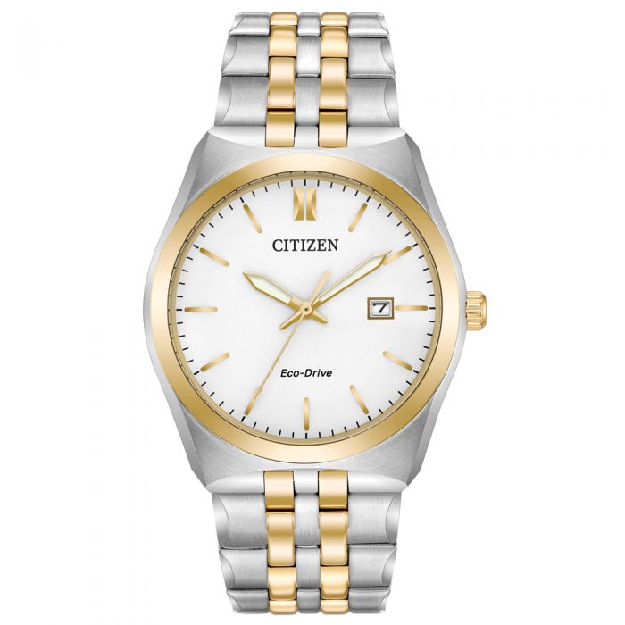 citizen wr300