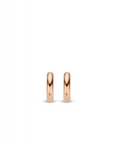Ti Sento Milano Silver/Rose Gold Plated Earrings 7210RS