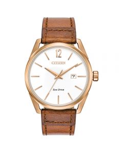 citizen eco drive wr100 strap